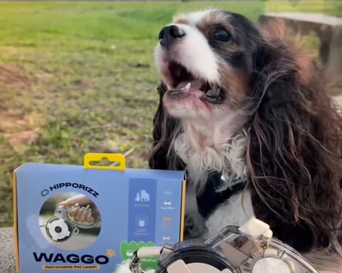 【蘿拉🧸】開箱分享｜Waggo 伸縮寵物牽繩