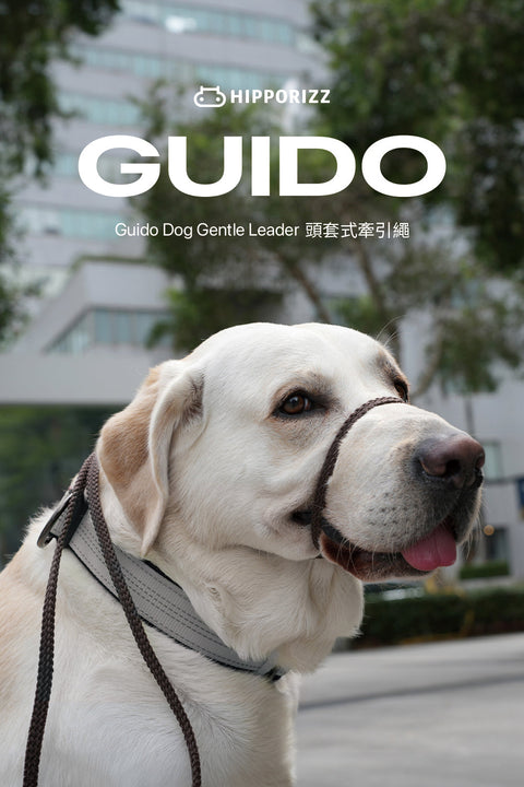 HIPPORIZZ Guido 頭套式牽引繩新品上市｜70g 超輕量、不影響吃喝散熱、中大型犬安全牽引